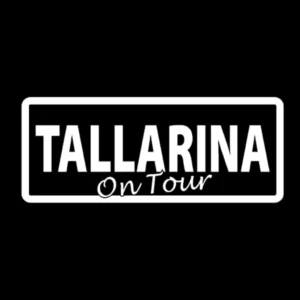 macro discomovil tallarina logo dfest
